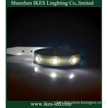 Wholesales LED Dog Collar (dog lead) Shenzhen